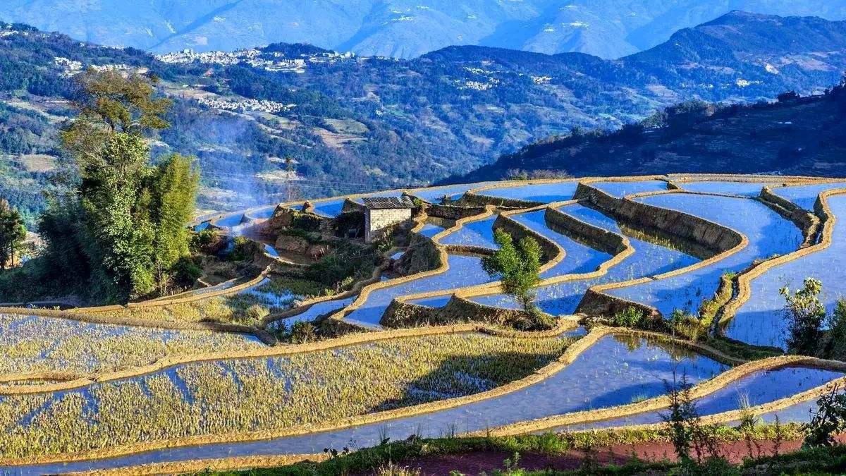 10 Days to Yuanyang, Jianshui, Kunming, Dali, Lijiang and Shangri-La- Welcome to Yunnan!