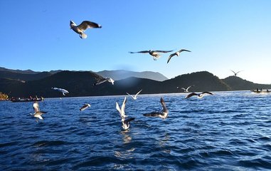 丽江泸沽湖4晚5天定制行程